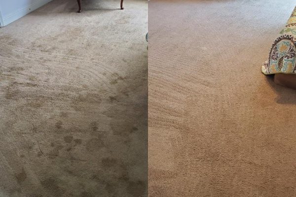 Carpet steam cleaning